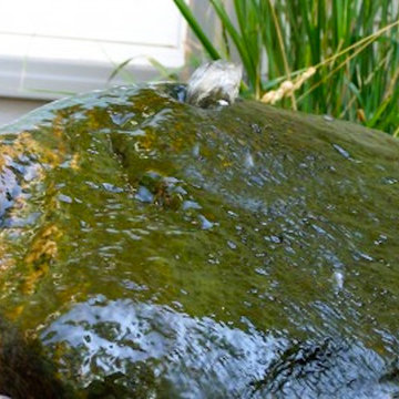 Landscapes and Hardscapes