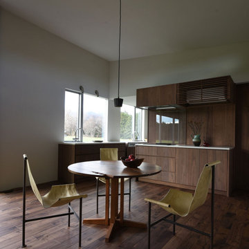 Case Study House #88 T house