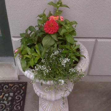Container Gardens