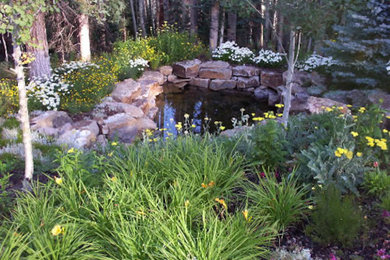 Modelo de jardín rústico extra grande en patio trasero con fuente, exposición total al sol y adoquines de piedra natural