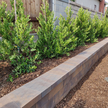 Planter Wall and Privacy Hedges