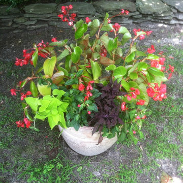 Container Gardens
