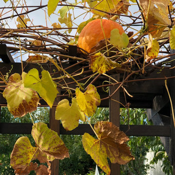 Bungalow Garden Through the Seasons
