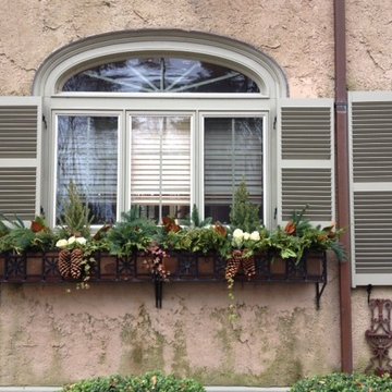 Window Boxes/ Container Gardens