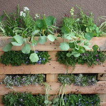 Landscape Ideas