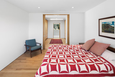 Inspiration for a modern light wood floor bedroom remodel in Los Angeles with white walls