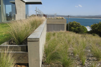 This is an example of a mid-sized contemporary backyard full sun xeriscape in Canberra - Queanbeyan.