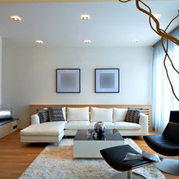 Living Room Staging
