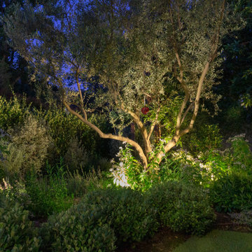 Mandeville Canyon Modern Oasis
