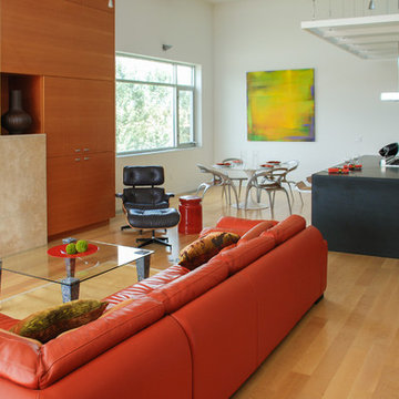 Orange Accented Contemporary Loft