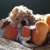 Eileen Napolitano's photo