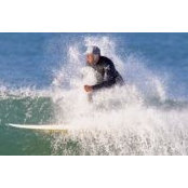 Alan Latteri's photo