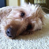 Patti Bloechl's photo