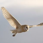 Foto von Jane Càirdean