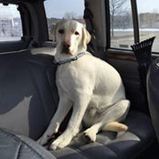 Wendy Koenig's photo