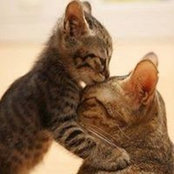 Norine Cantera Ebel's photo