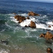 Nancy Duncan's photo