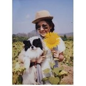 Pichupa รักในหลวงさんの写真