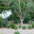 Kate Anne Landscape Design & Build