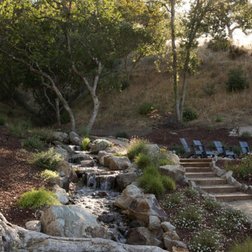 East Bay Pastoral