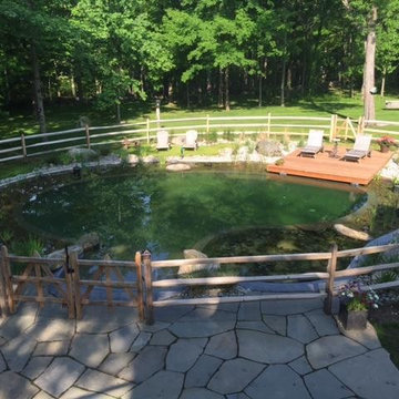 BioNova Natural Swimming Pool - Stamford, CT