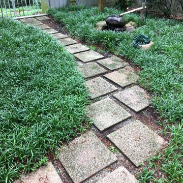 Shaded Asian Garden