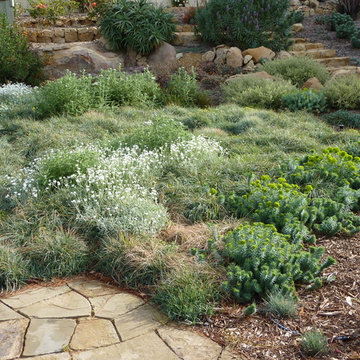 Silver Meadow