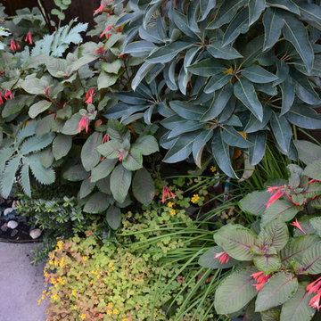 Poolside Garden and Containers