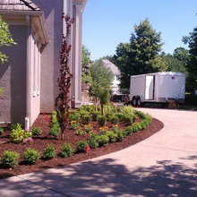 Front landscape