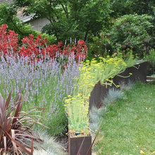 Garden Behind Kids Rooms