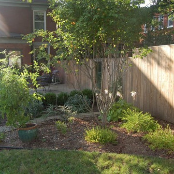Urban Backyard & Rain Garden