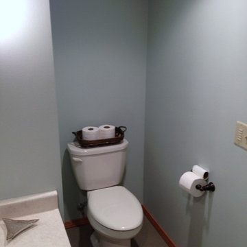 Red Pine Ct Basement Bathroom