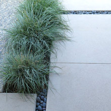 Walking Path