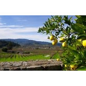 Nicole Long's photo