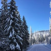 Ryan Seaman's photo