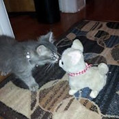 Jennifer Beaston's photo