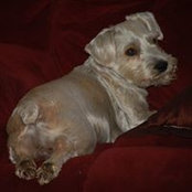 June Musick's photo