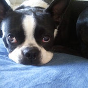 Chloe's photo