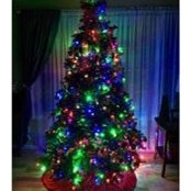 Dawn Olson-Kozak's photo