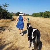 Cherie Ackerman's photo