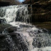 Shannon Seiler's photo