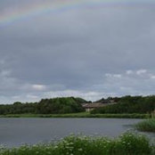 Alison White's photo