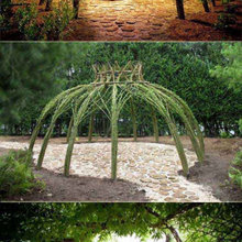 Garden/Outside