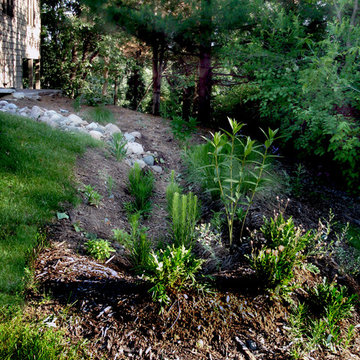 Rain Gardens