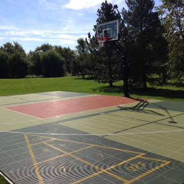 Christine V's Pro Dunk Gold Basketball System on a 44x26 in Crystal Lake, IL