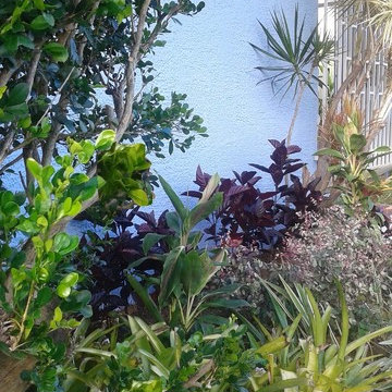Charming up a Caribbean-colonial front yard