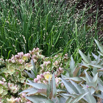 Plant Passion Garden