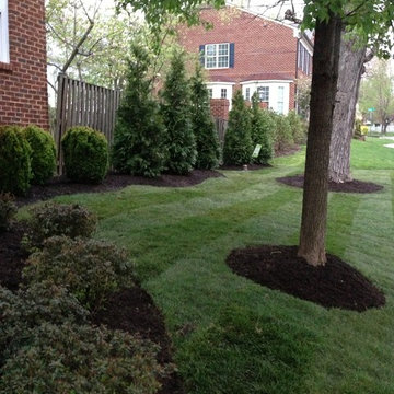 Traditional Boxwood Gardens