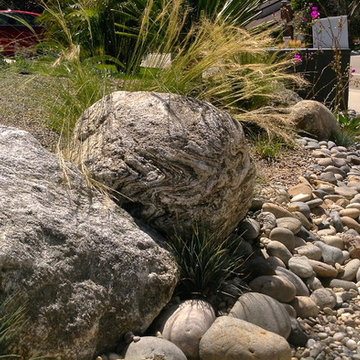 Sea Side Xeriscape