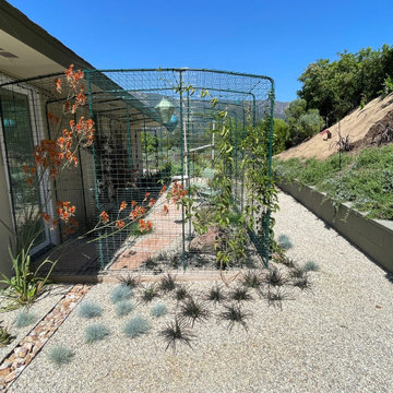 "Catio" patio enclosure for cats